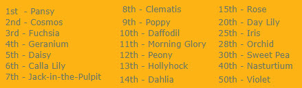 Placeholder Picture